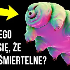 Głupie ciekawostki, które zaskoczą i rozbawią każdego znajomego