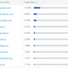 Tabela z rankingiem najczęściej odwiedzanych stron internetowych, z podziałem na domeny i udział w ruchu.