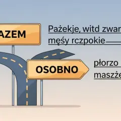 Rozdroże dróg z tabliczkami "RAZEM" i "OSOBNO". Wybór ścieżki, niekoniecznie razem czy osobno, prowadzi do różnych rozwiązań.