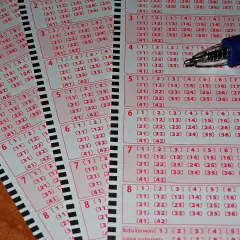 Kupony lotto z zaznaczonymi polami, gotowe do gry. Widoczne litery kontrolne zdrapek i numerowane pola do wyboru liczb.