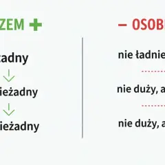 Jak piszemy nie z przymiotnikami: razem z "żadny" tworzy "nieżadny", a osobno "nie ładniejszy", "nie duży, ale mały".