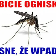 Śmieszne kawały o komarze, które rozbawią każdego i poprawią humor