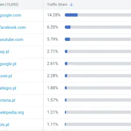Tabela z rankingiem najczęściej odwiedzanych stron internetowych, z podziałem na domeny i udział w ruchu.