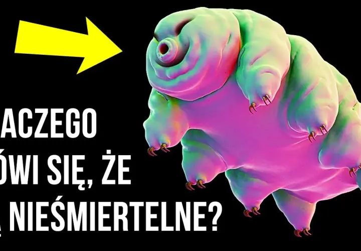 Głupie ciekawostki, które zaskoczą i rozbawią każdego znajomego