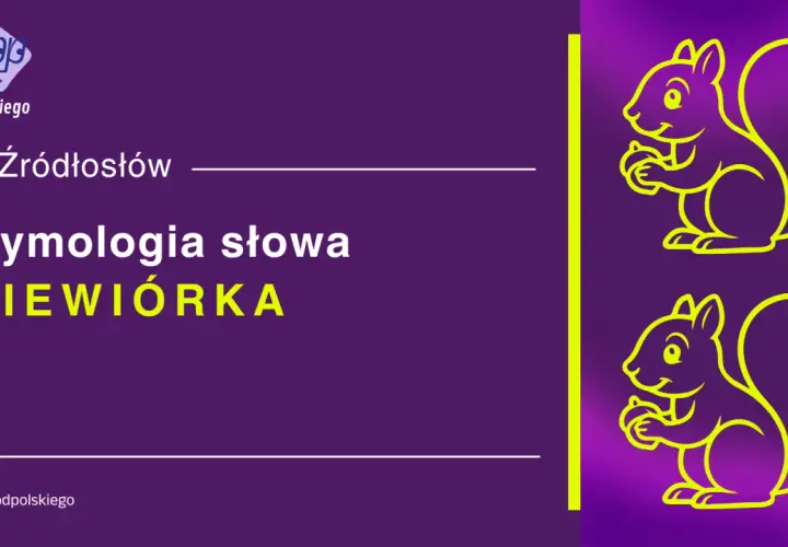 Dwie wiewiórki trzymają orzeszki. Tekst: "Etymologia słowa WIEWIÓRKA". Czy to mi czy mnie?