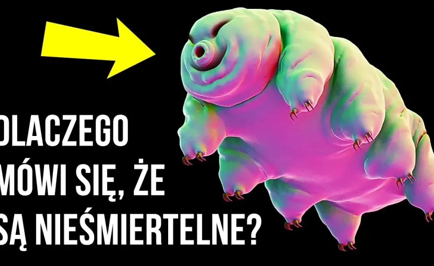 Głupie ciekawostki, które zaskoczą i rozbawią każdego znajomego