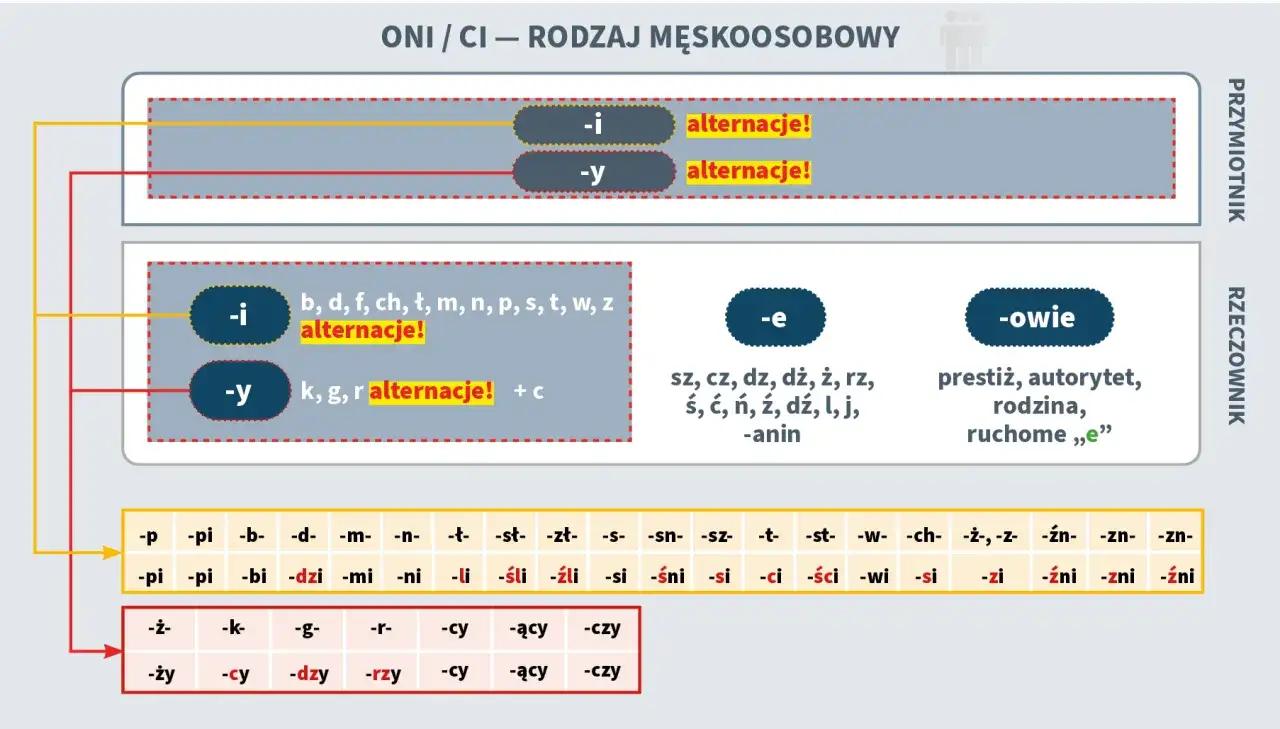 Tabela pokazuje, jak tworzyć formy liczby mnogiej rzeczowników i przymiotników rodzaju męskoosobowego. Wiele słów, jak np. 