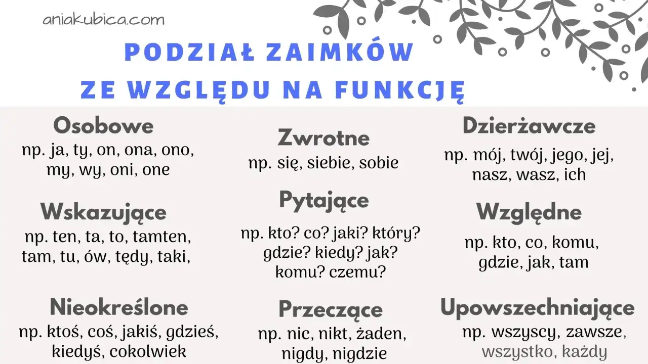 Tabela z podziałem zaimków ze względu na funkcję: osobowe (np. ja, ty), zwrotne (np. się), pytające (np. kto?), wskazujące (np. ten), nieokreślone (np. ktoś), przeczące (np. nic), dzierżawcze (np. mój), względne (np. kto), upowszechniające (np. wszyscy).
