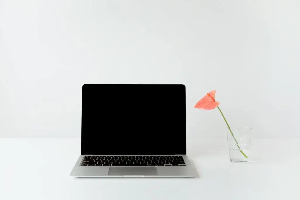 Zdjęcie Czy Chromebook ma sens? Odkryj jego zalety i wady dla Ciebie